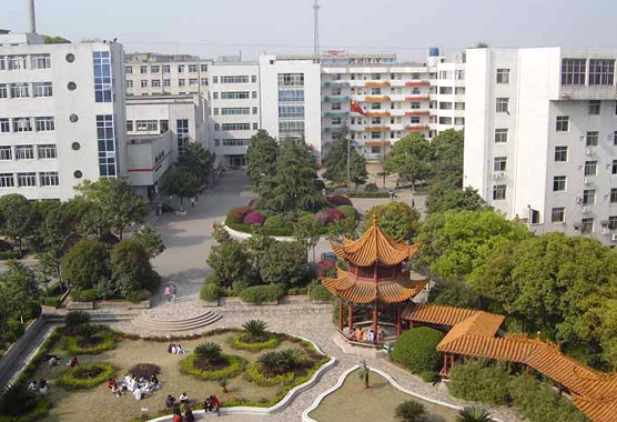 Institut professionnel des sciences et technologies du Hunan